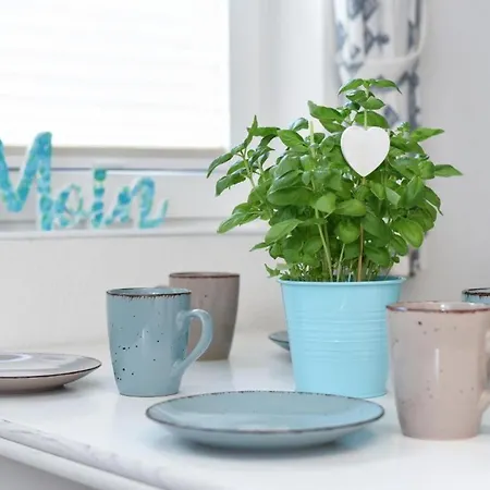 Apartment Haus Kajedeich Robbe